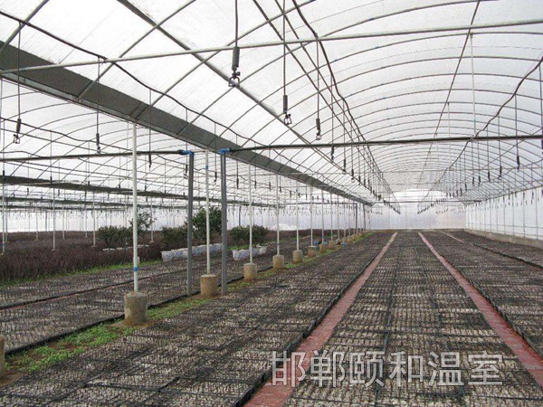 日光溫室 (9)